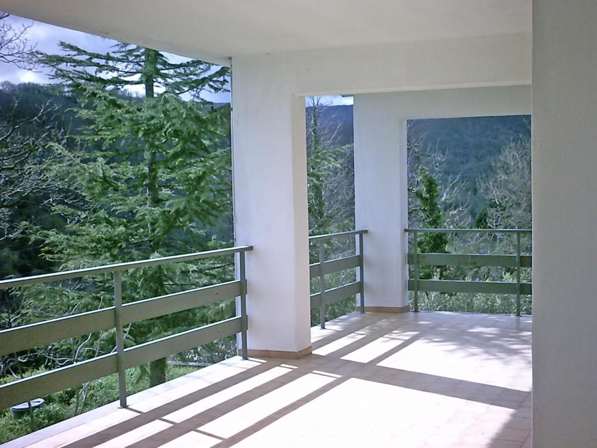 B&B Hollywood Olivadi Esterno foto